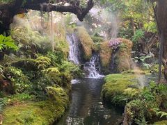 -Chom Cafe and Restaurant