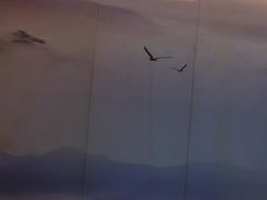 -见康道莱•足浴按摩•艾灸•SPA(友谊店)