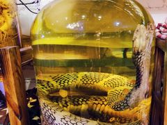 -龙桥私厨·姜花菊花过桥鱼·顺德菜(容桂店)