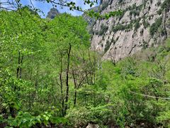 -青峰峡国家森林公园