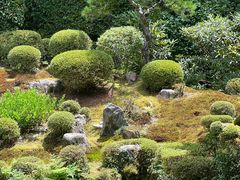 -三千院
