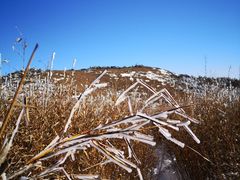 -秦岭风景区