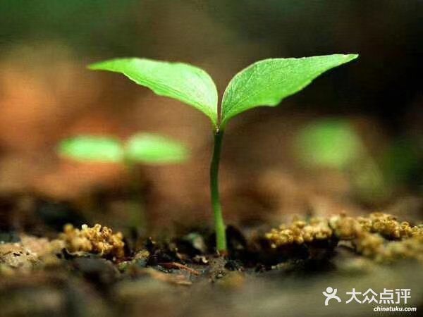 太阳出来罗儿 喜洋洋欧🌅🌅🌅