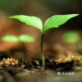 太阳出来罗儿 喜洋洋欧🌅🌅🌅