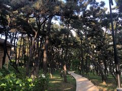 -老虎石海上公园