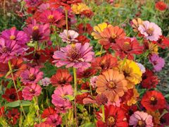 -映月湖中央公园