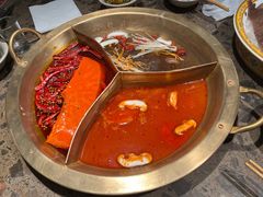 奔驰三味锅-小龙坎老火锅(金柏林店)