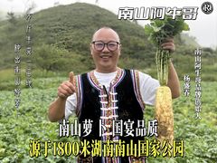 -炳胜品味(深圳湾万象城店)