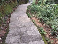 -黄埔油麻山森林公园