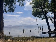 -巍山𤆵肉饵丝