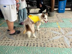 -安吉龙王山峡谷漂流