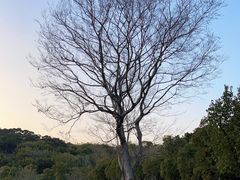 -牛岗山公园