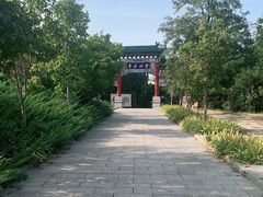 -云岗森林公园