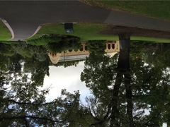 iphone_upload_pic-斐兹洛伊花园