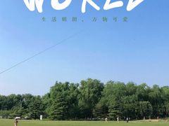 -海淀公园