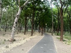 -古塔公园