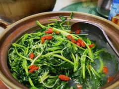 蚝汁西洋菜-蚝家菜馆(沙井店)