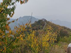 -大岭沟猕猴桃谷风景区