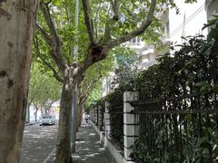 -乌鲁木齐路老洋房