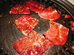 -猫爪爪原切自助烤肉(观音桥阳光世纪店)