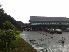 -大湾区中央湿地公园