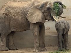 -华夏良子·足道SPA艾灸(王府井店)