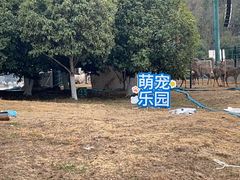 -汤山欢乐雪世界