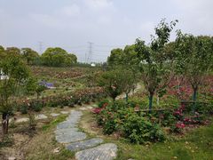 -上海杨姆庄园