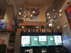 -猫咪博物馆(顶澳仔猫街店)