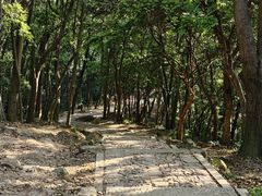 -灵顺寺