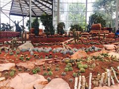 -南通洲际绿博园