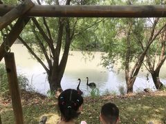 -长兴太湖图影湿地文化园