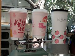-伏小桃(明瓦廊店)