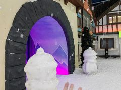-世界之窗阿尔卑斯冰雪世界