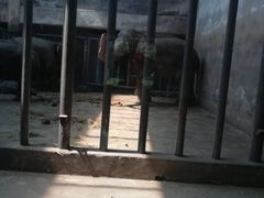 -石家庄市动物园