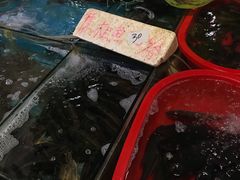 -七宝蔬菜农副产品综合交易市场-停车场