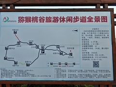 -大岭沟猕猴桃谷风景区