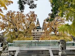 -北京石刻艺术博物馆(五塔寺)