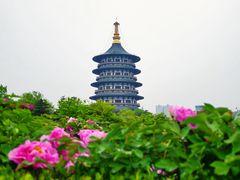 -隋唐洛阳城明堂天堂景区