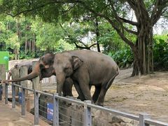 -深圳野生动物园