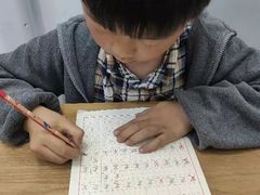 -戏墨娃·书法·国画(景城邻里校区)