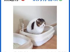 -FAELING PETS美天灵宠物(合生汇店)