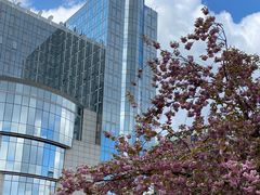 -新欧盟总部大厦