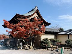 -天龙寺
