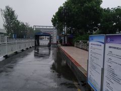 -金陵中学(河西分校)