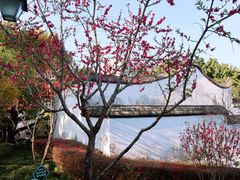 -乌山风景区