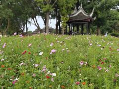 -韩湘水博园