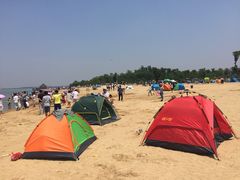 -瑶湖郊野森林公园