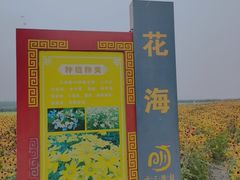 -十三陵水库