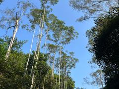 -佛山市三水区大南山森林公园